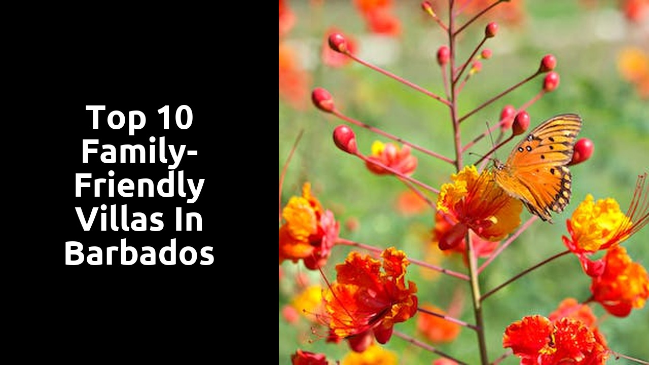 Top 10 Family-Friendly Villas in Barbados