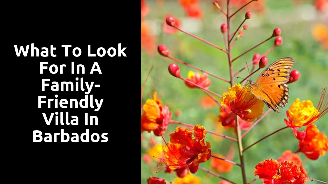 What to Look for in a Family-Friendly Villa in Barbados