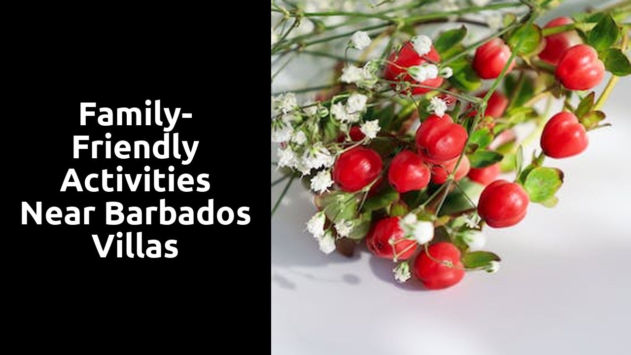 Family-Friendly Activities near Barbados Villas