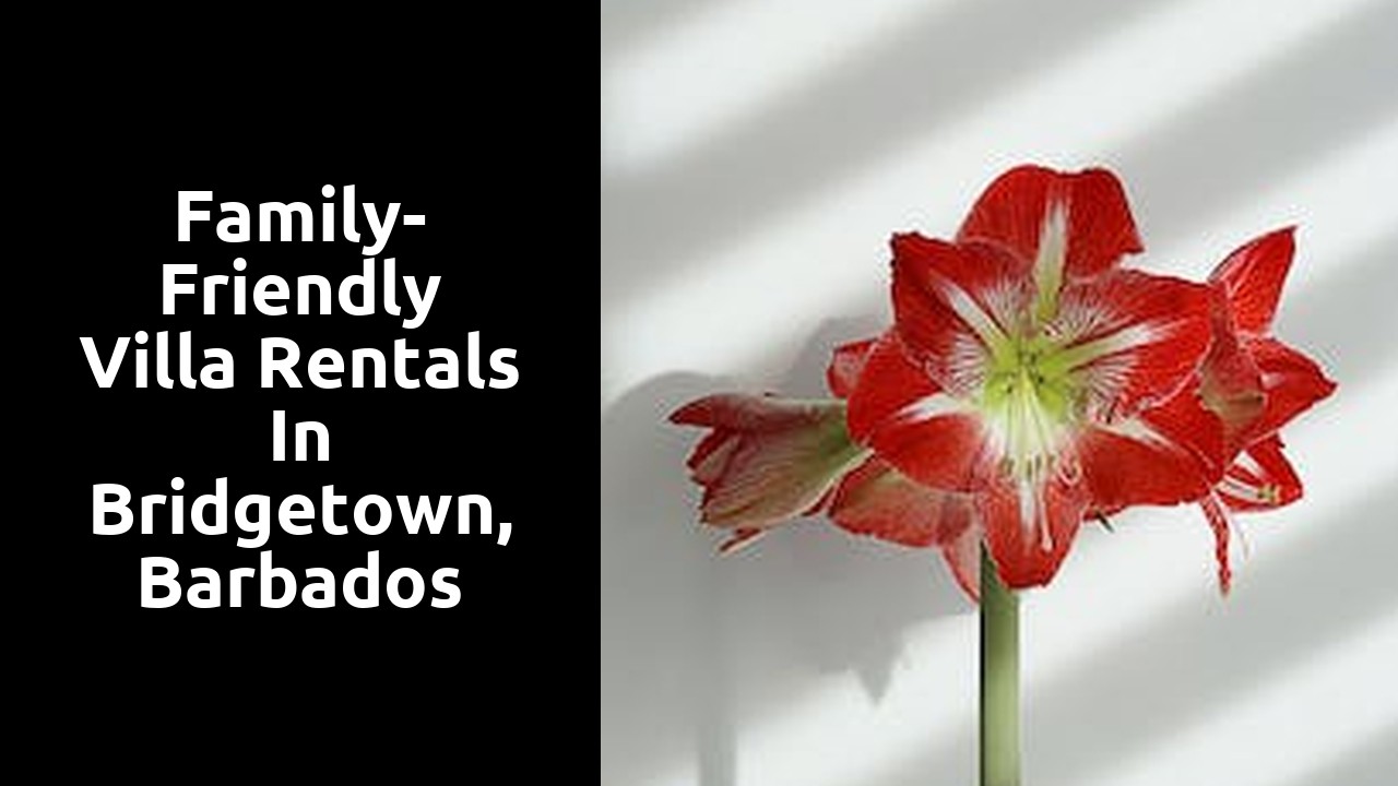 Family-Friendly Villa Rentals in Bridgetown, Barbados