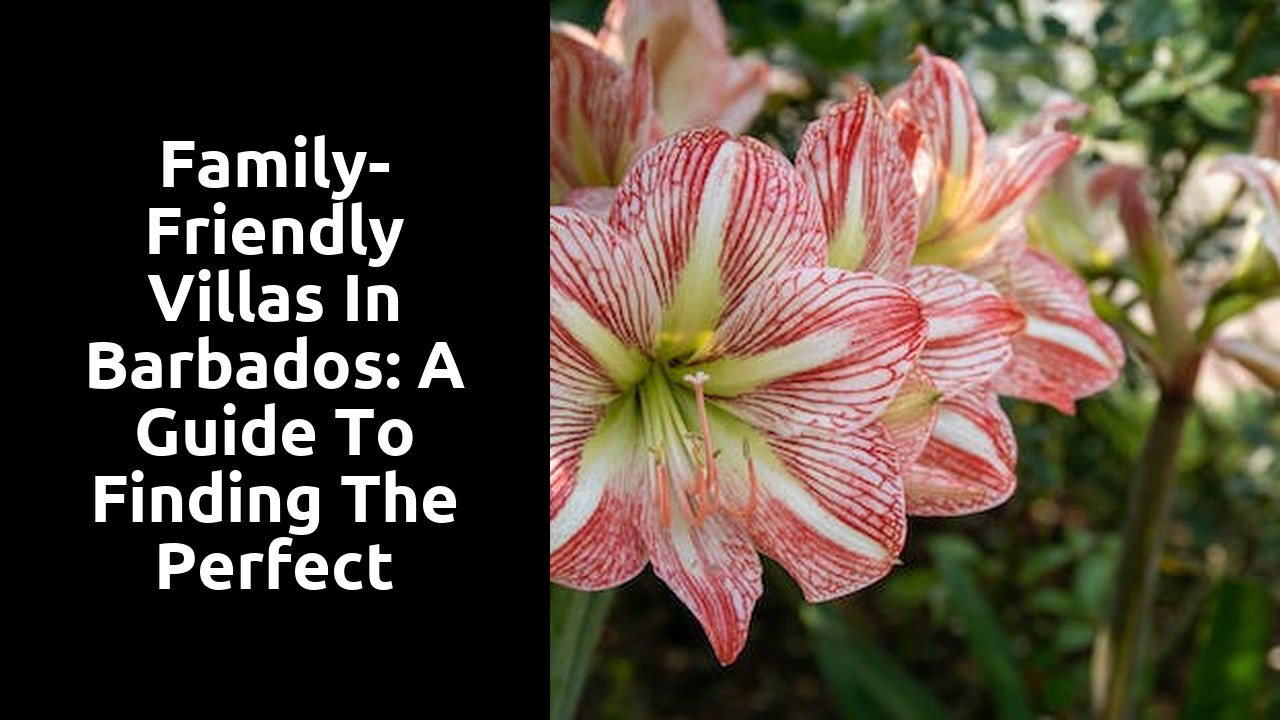 Family-Friendly Villas in Barbados: A Guide to Finding the Perfect Accommodation for Your Family