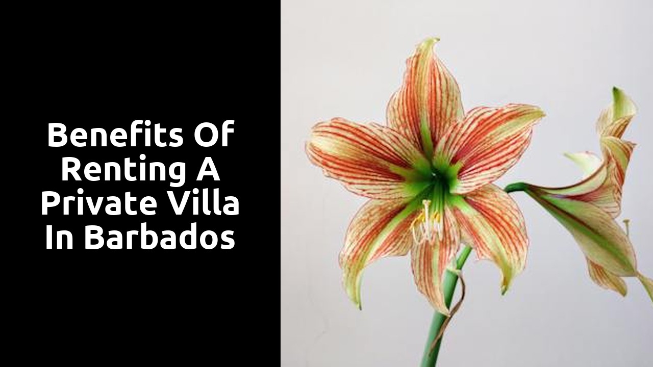 Benefits of Renting a Private Villa in Barbados