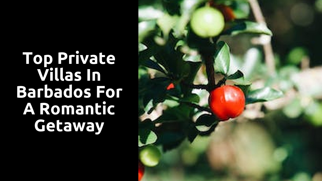 Top Private Villas in Barbados for a Romantic Getaway