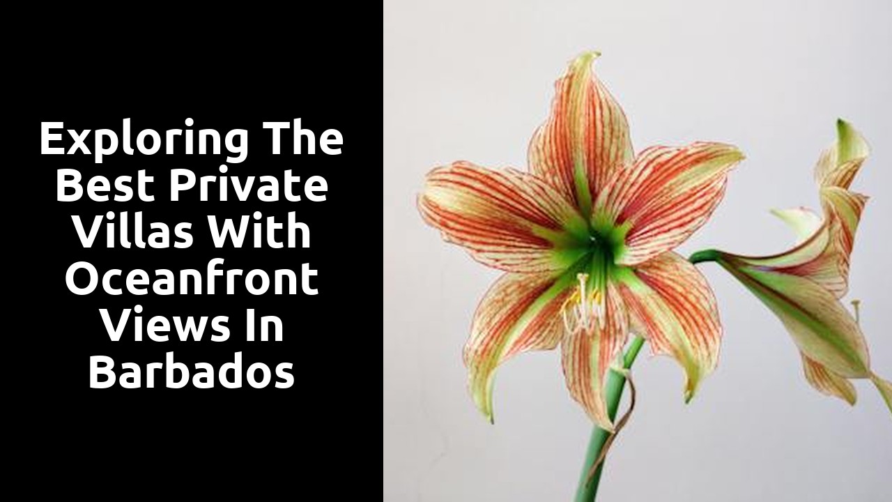 Exploring the Best Private Villas with Oceanfront Views in Barbados