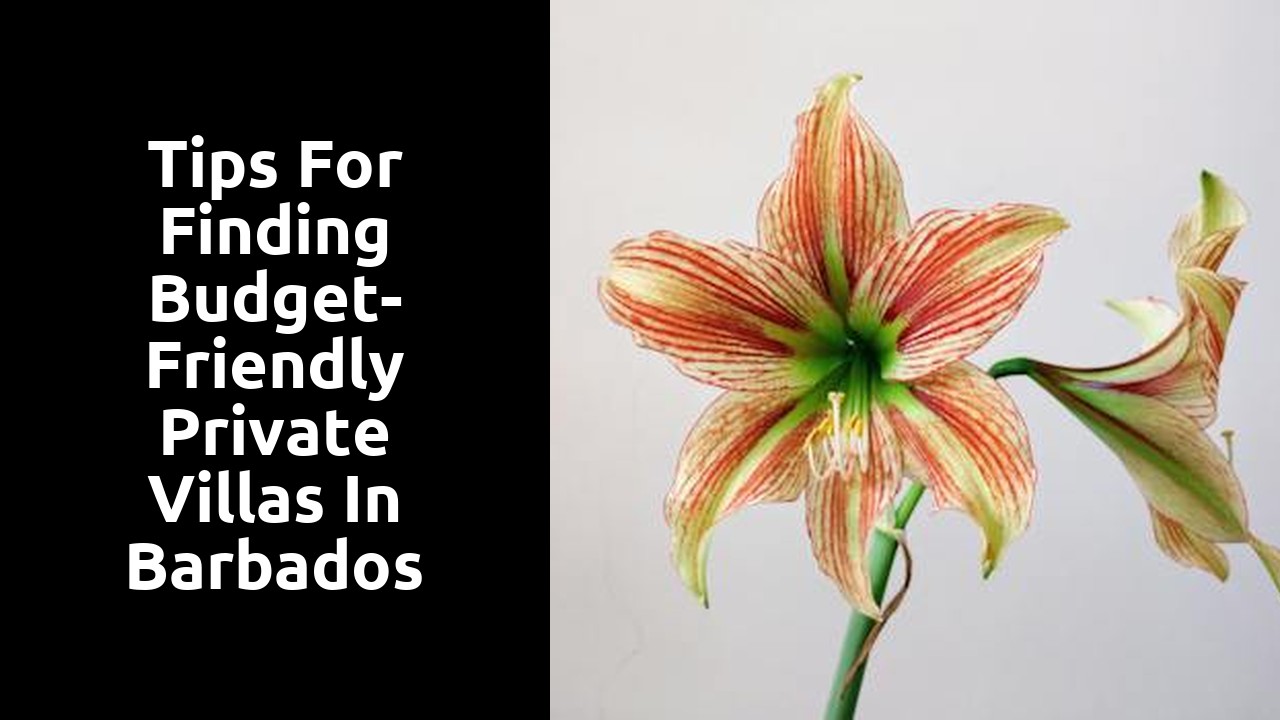 Tips for Finding Budget-Friendly Private Villas in Barbados