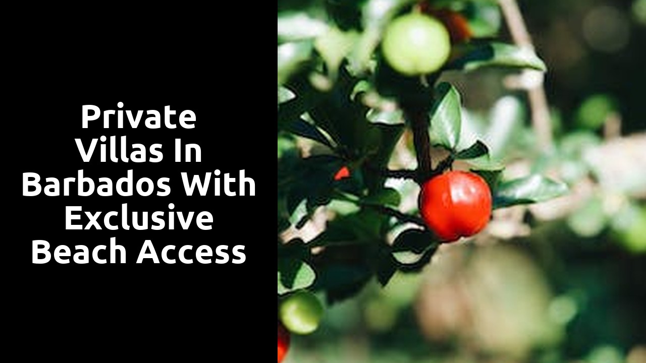 Private Villas in Barbados with Exclusive Beach Access