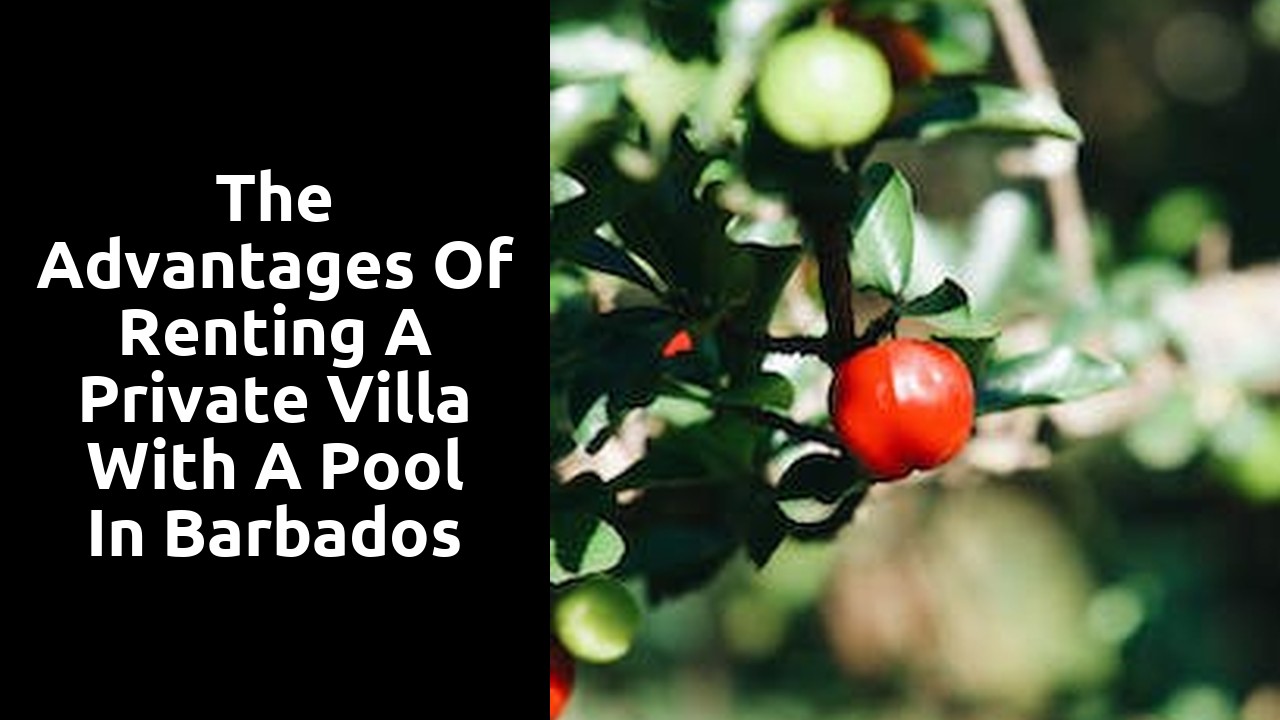 The Advantages of Renting a Private Villa with a Pool in Barbados