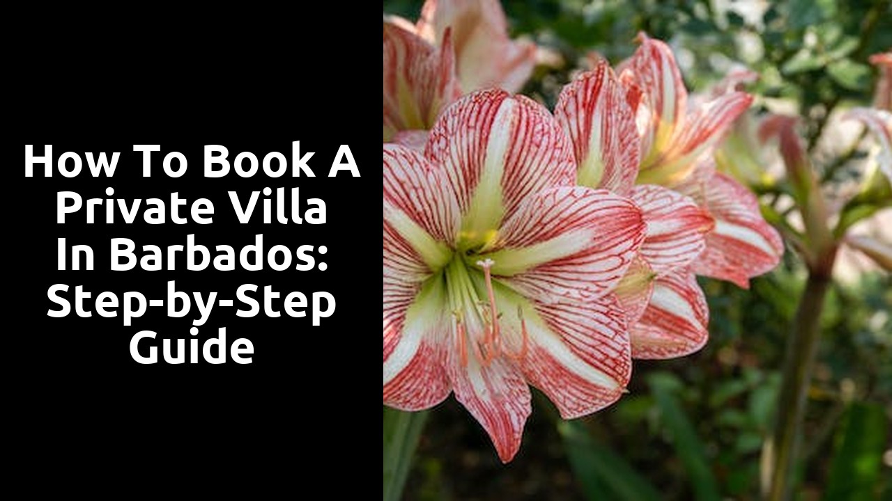 How to Book a Private Villa in Barbados: Step-by-Step Guide