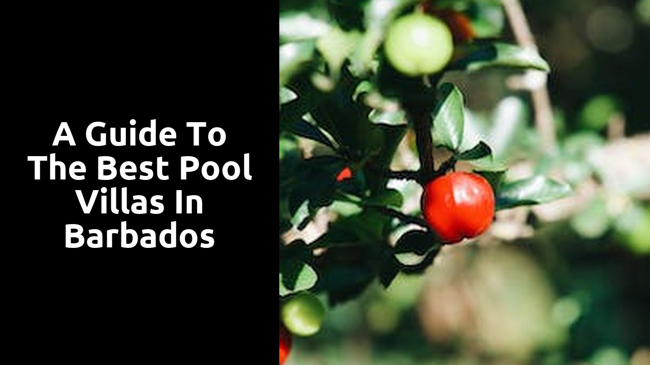 A Guide to the Best Pool Villas in Barbados