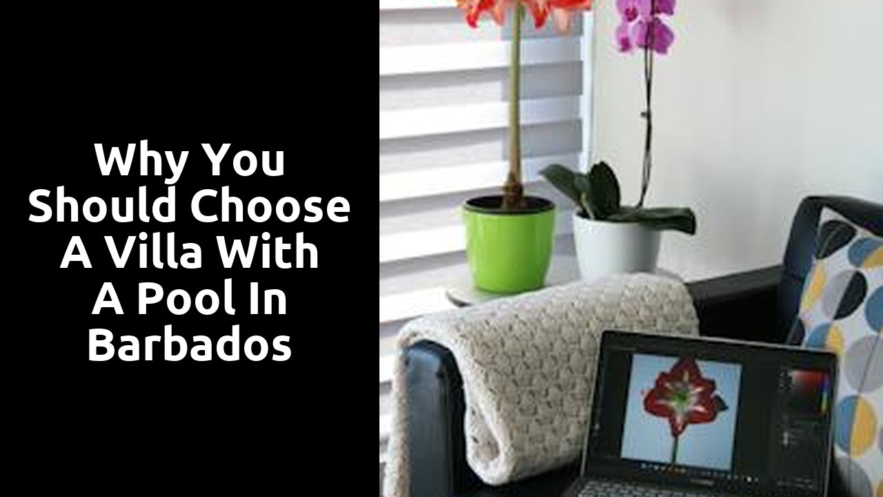 Why You Should Choose a Villa with a Pool in Barbados