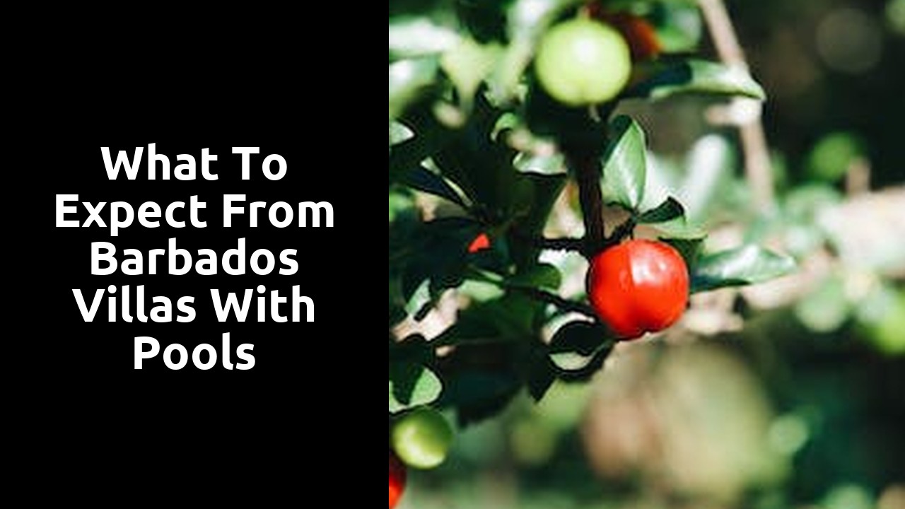 What to Expect from Barbados Villas with Pools