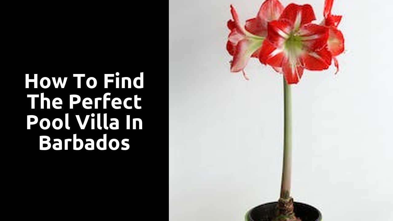 How to Find the Perfect Pool Villa in Barbados