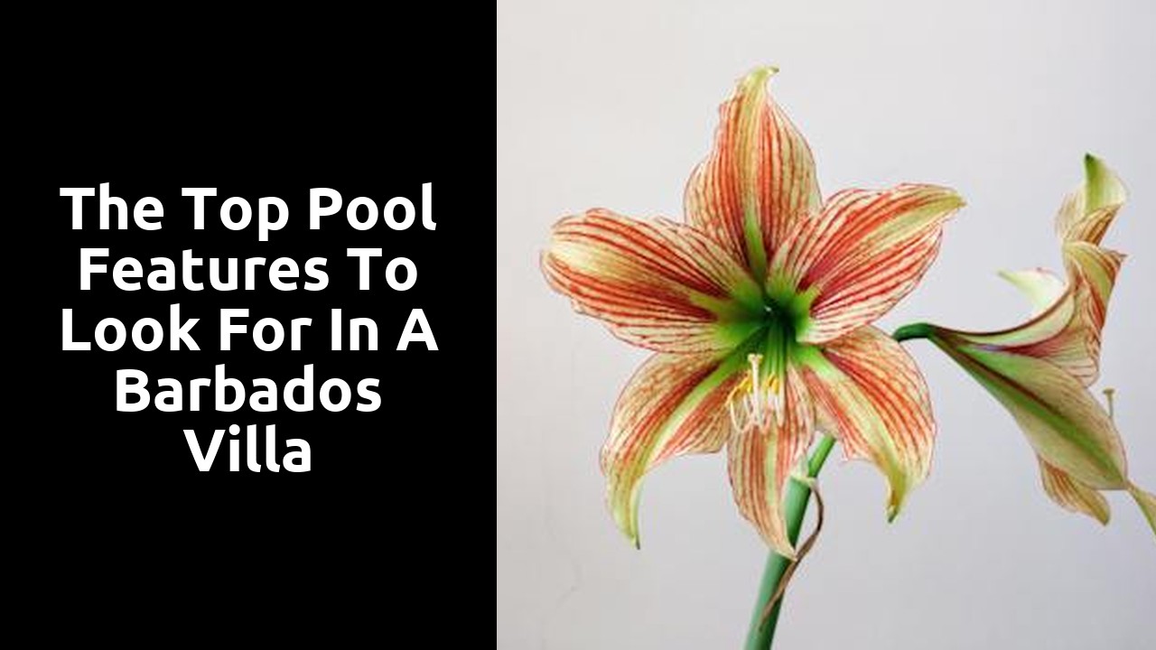 The Top Pool Features to Look for in a Barbados Villa