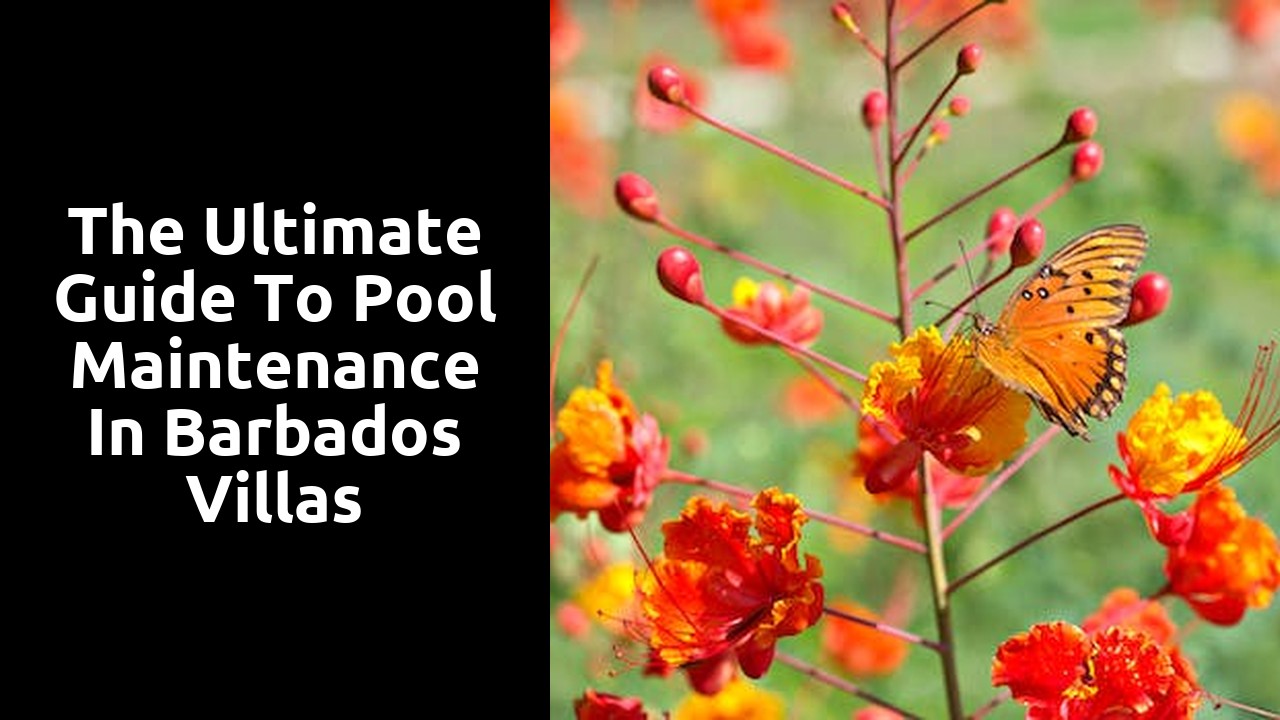 The Ultimate Guide to Pool Maintenance in Barbados Villas