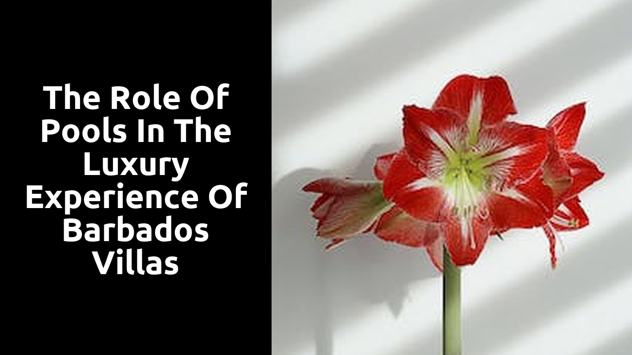 The Role of Pools in the Luxury Experience of Barbados Villas