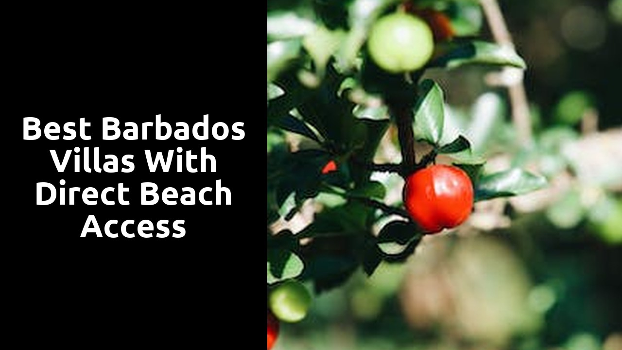 Best Barbados Villas with Direct Beach Access