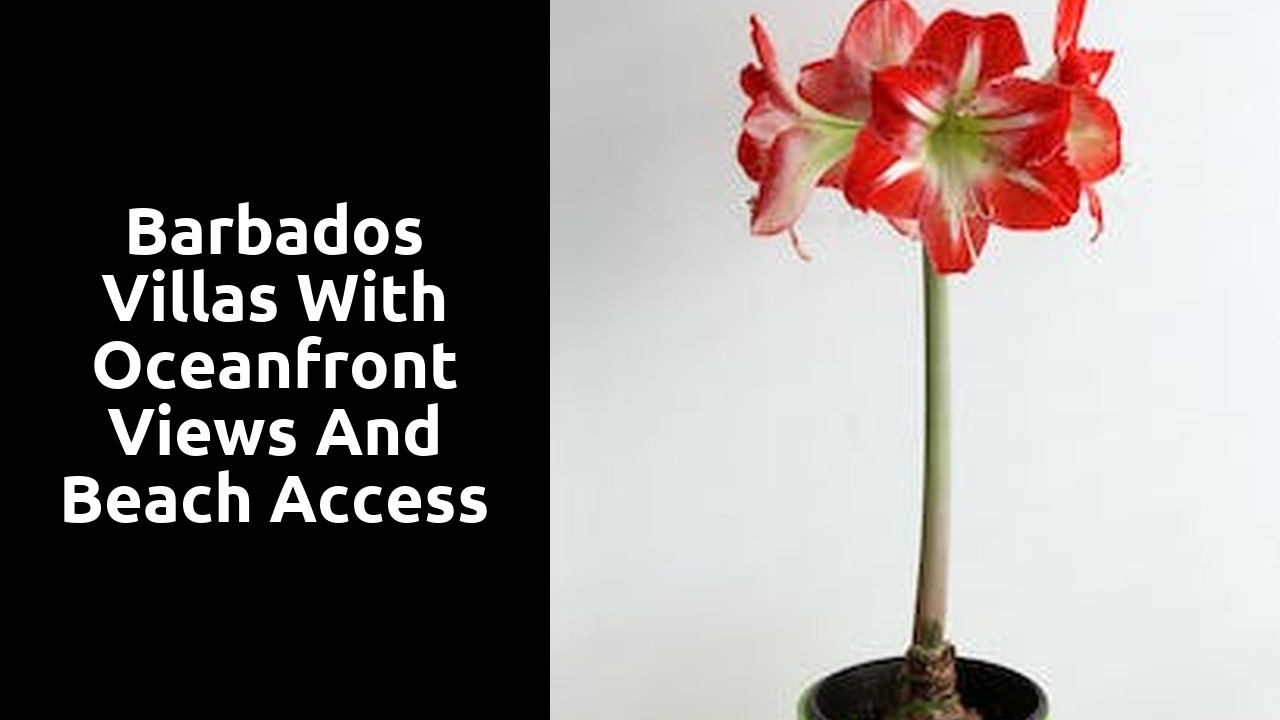 Barbados Villas with Oceanfront Views and Beach Access