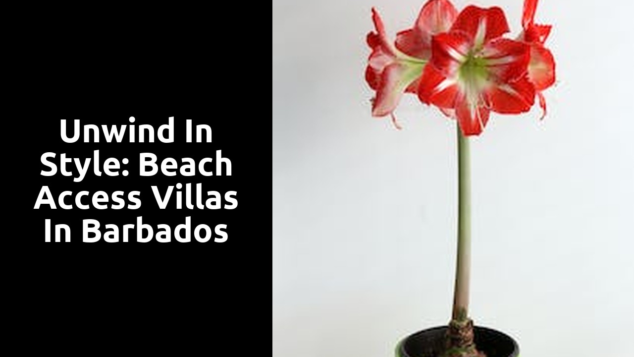 Unwind in Style: Beach Access Villas in Barbados