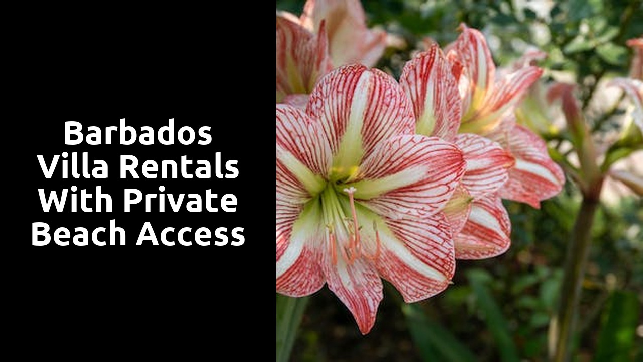 Barbados Villa Rentals with Private Beach Access