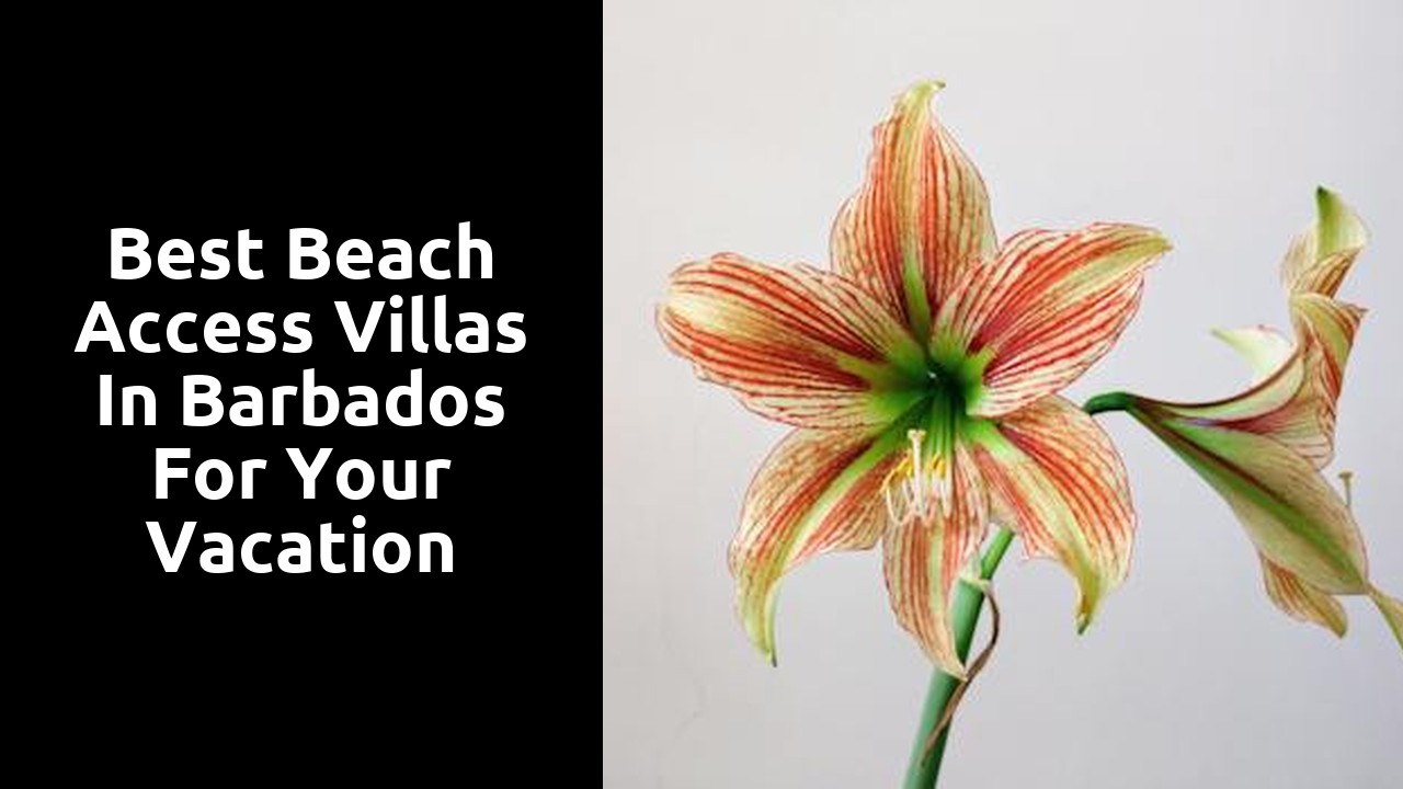 Best Beach Access Villas in Barbados for Your Vacation