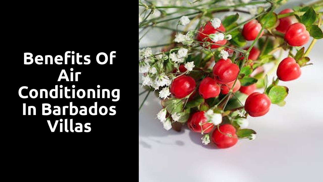 Benefits of Air Conditioning in Barbados Villas