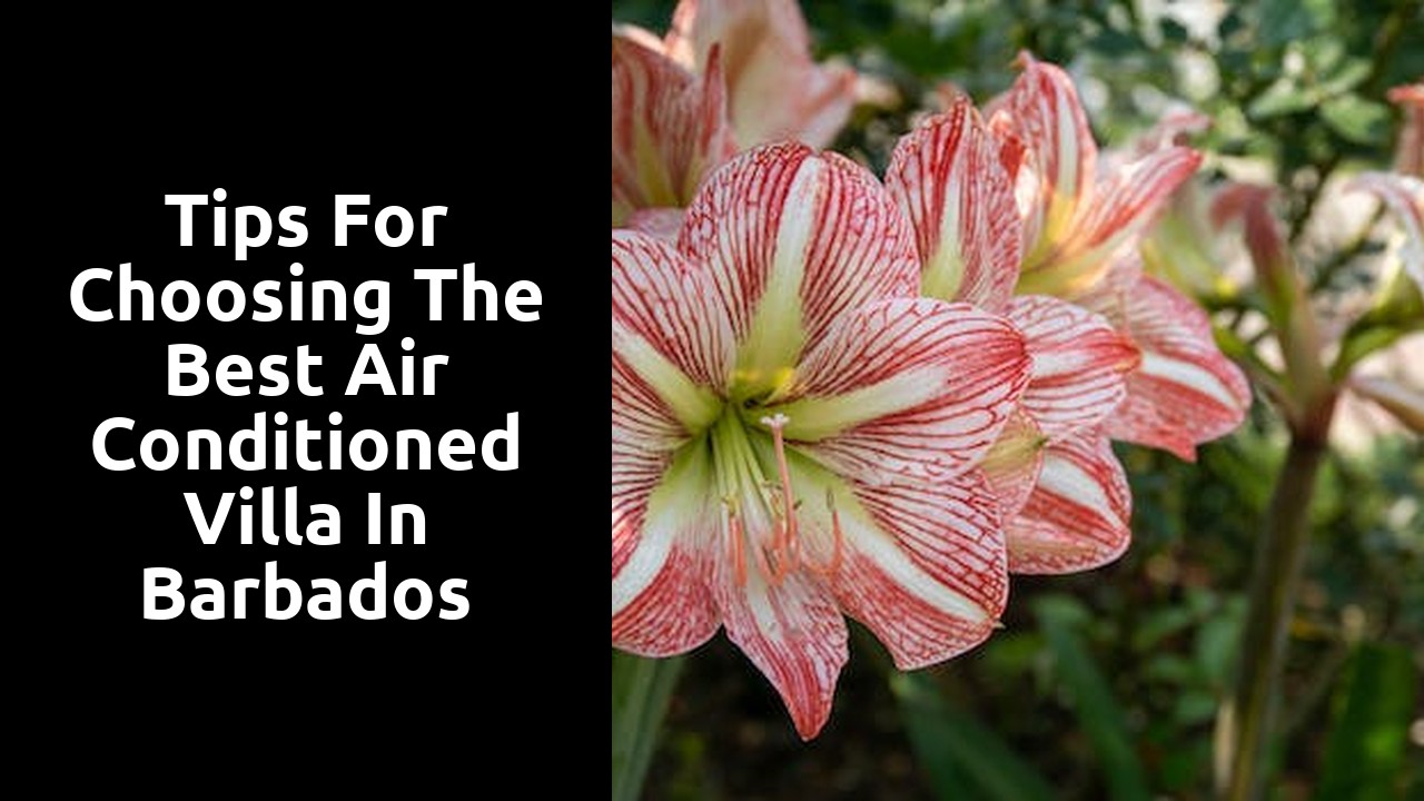 Tips for Choosing the Best Air Conditioned Villa in Barbados