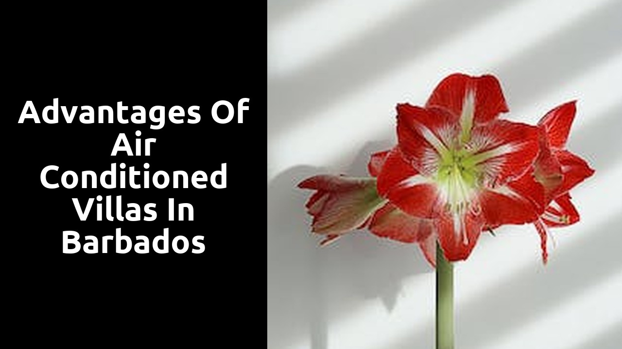 Advantages of Air Conditioned Villas in Barbados