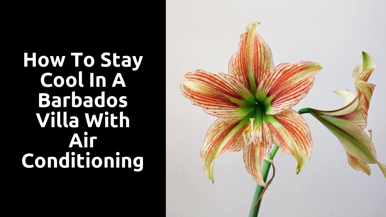 How to Stay Cool in a Barbados Villa with Air Conditioning