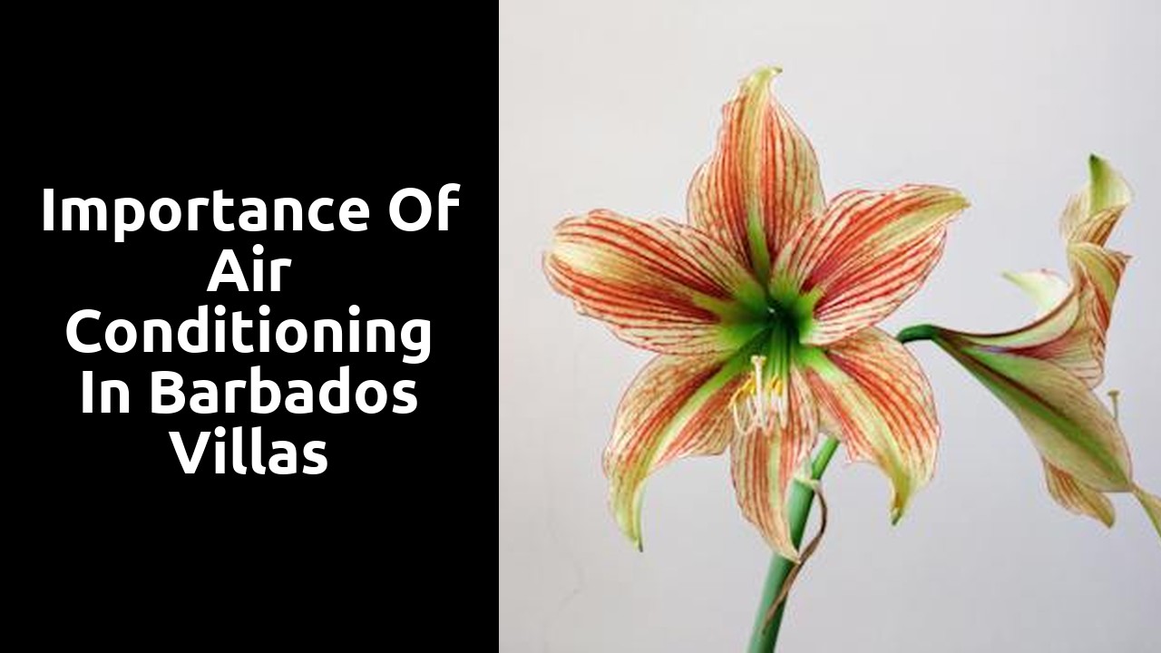 Importance of Air Conditioning in Barbados Villas