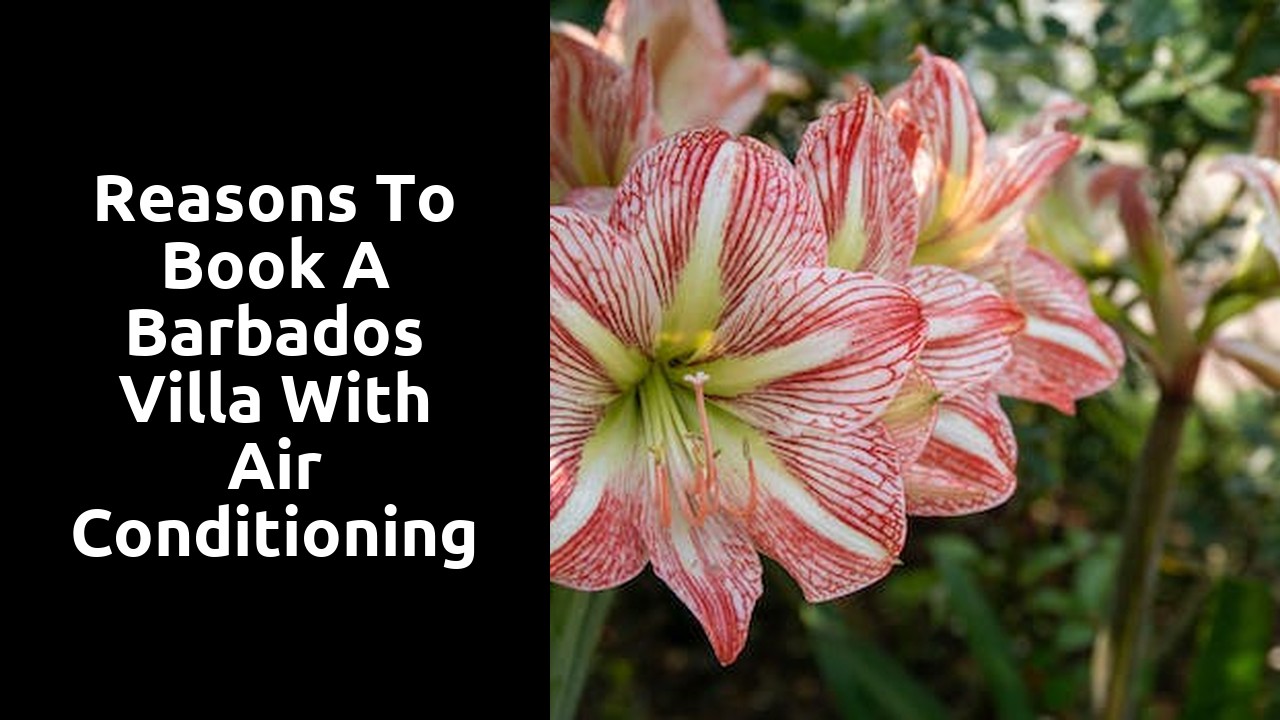 Reasons to Book a Barbados Villa with Air Conditioning