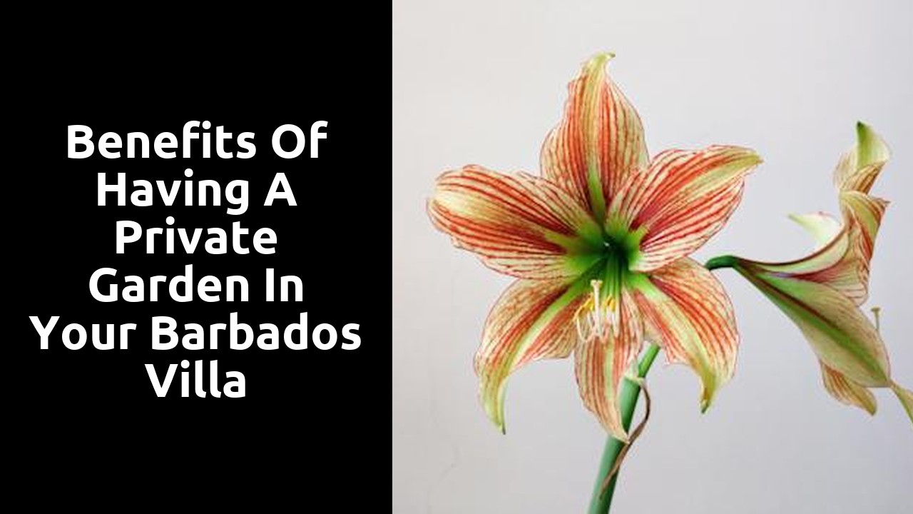 Benefits of Having a Private Garden in Your Barbados Villa