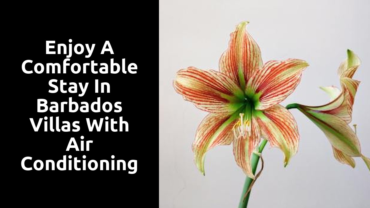 Enjoy a Comfortable Stay in Barbados Villas with Air Conditioning