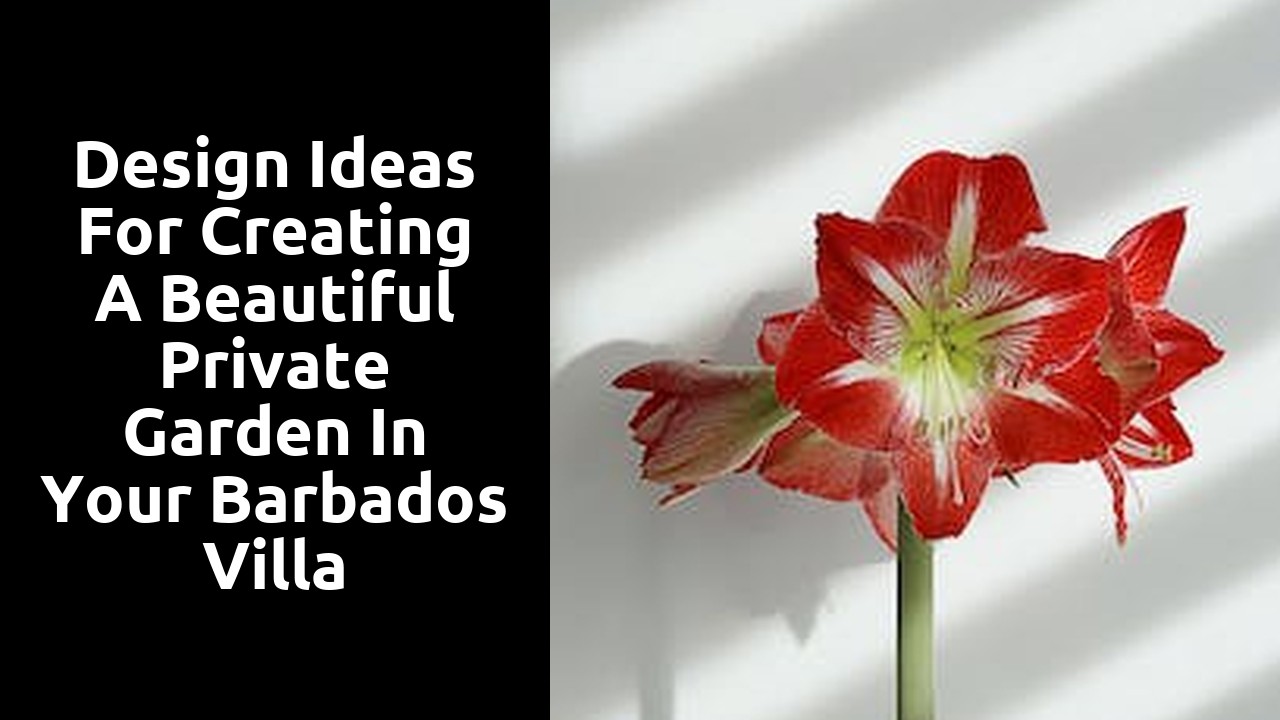 Design Ideas for Creating a Beautiful Private Garden in Your Barbados Villa