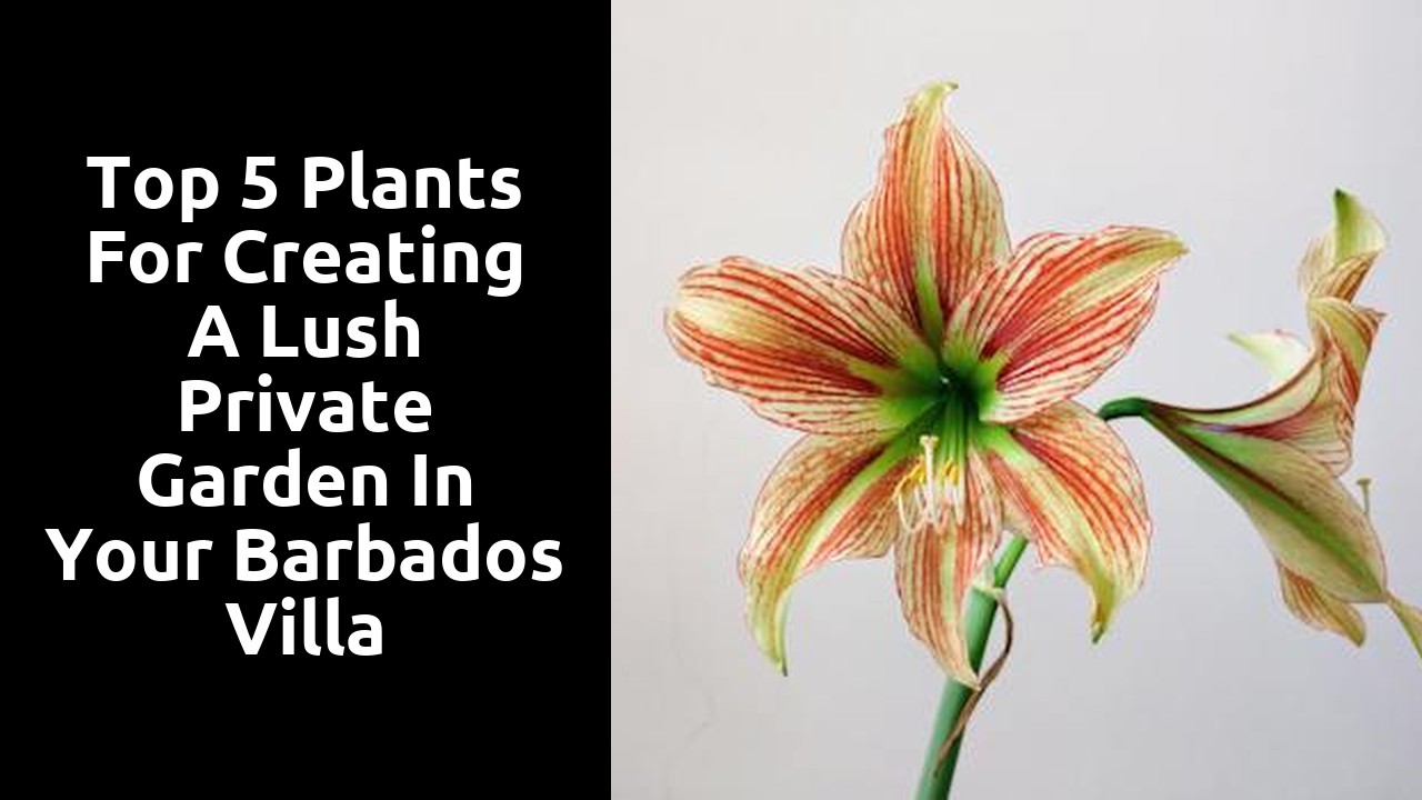 Top 5 Plants for Creating a Lush Private Garden in Your Barbados Villa
