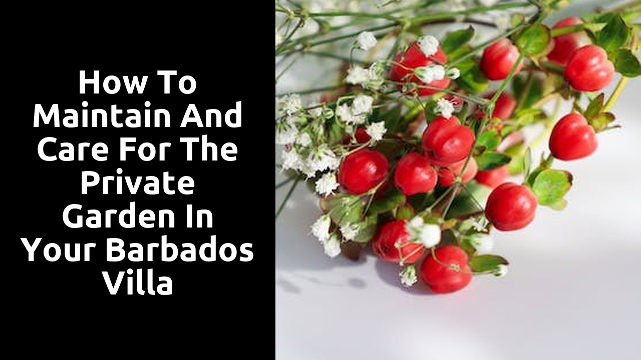 How to Maintain and Care for the Private Garden in Your Barbados Villa