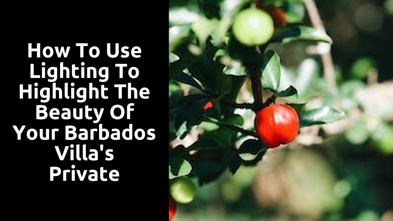 How to Use Lighting to Highlight the Beauty of Your Barbados Villa's Private Garden