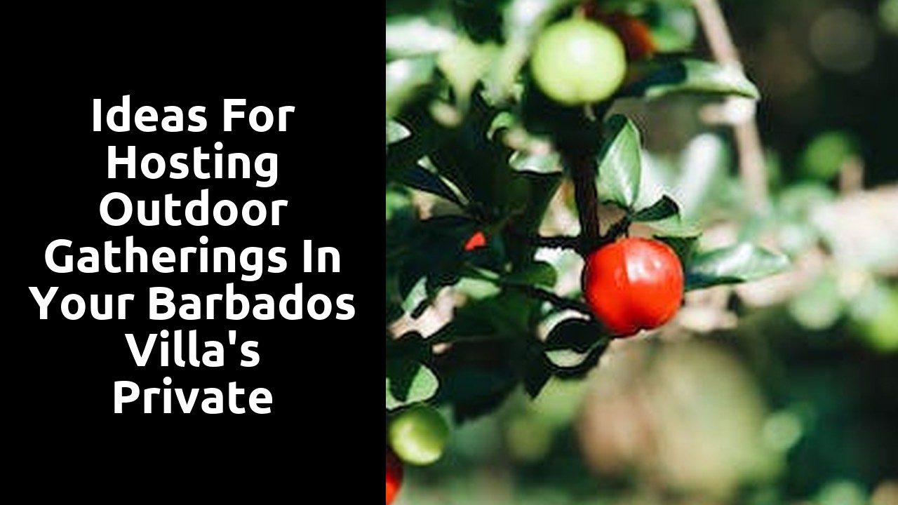Ideas for Hosting Outdoor Gatherings in Your Barbados Villa's Private Garden