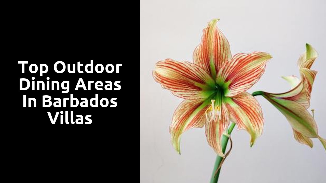 Top Outdoor Dining Areas in Barbados Villas