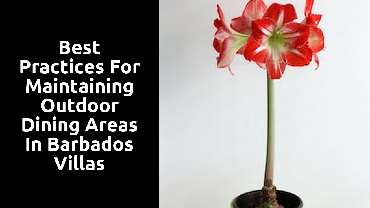 Best Practices for Maintaining Outdoor Dining Areas in Barbados Villas