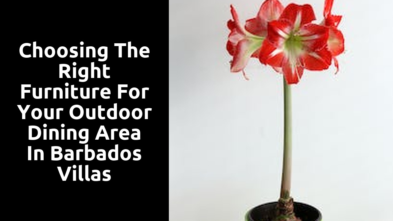 Choosing the Right Furniture for Your Outdoor Dining Area in Barbados Villas