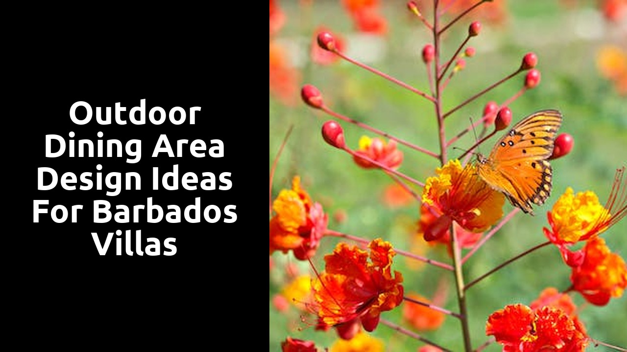 Outdoor Dining Area Design Ideas for Barbados Villas