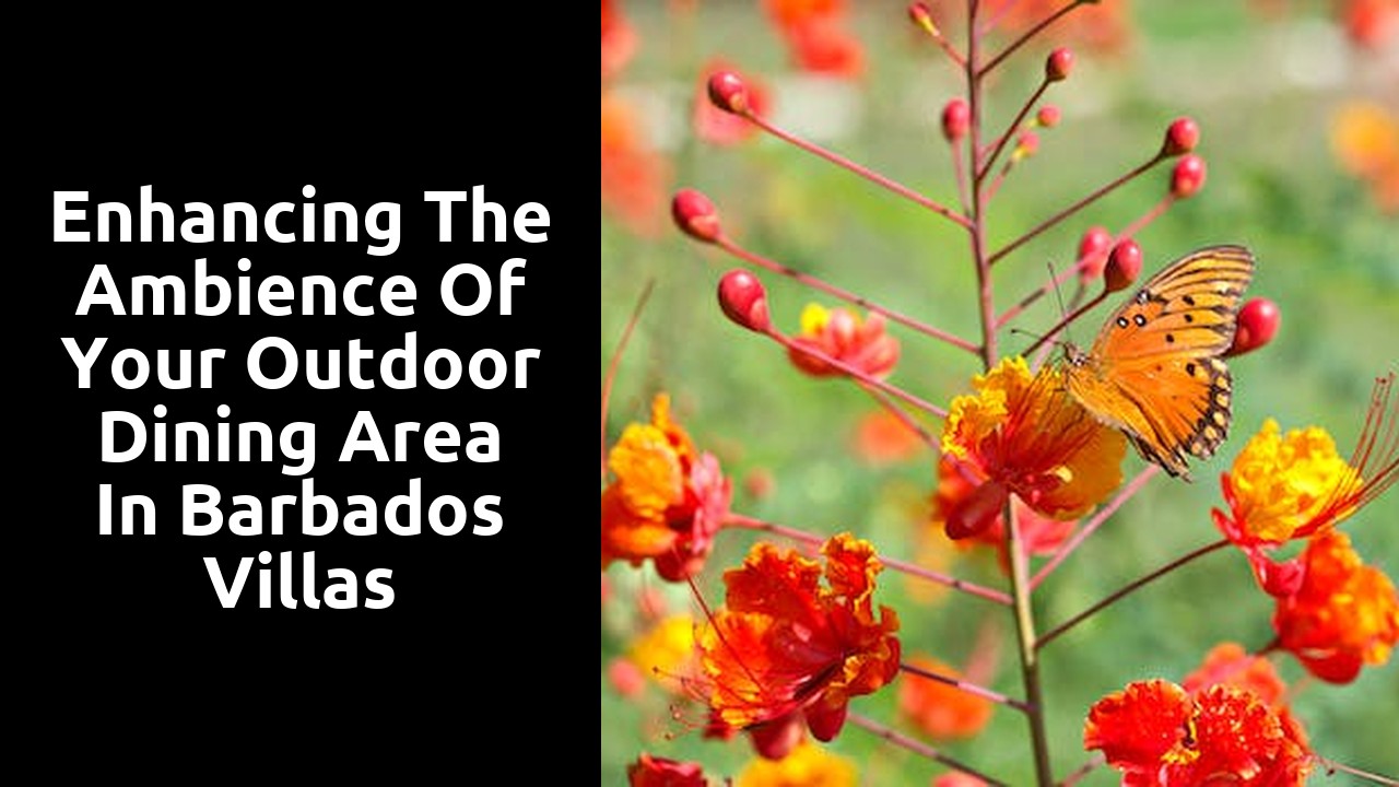 Enhancing the Ambience of Your Outdoor Dining Area in Barbados Villas