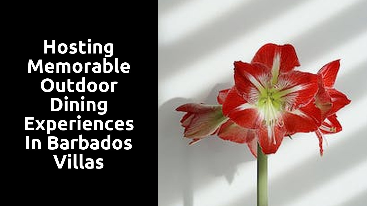 Hosting Memorable Outdoor Dining Experiences in Barbados Villas