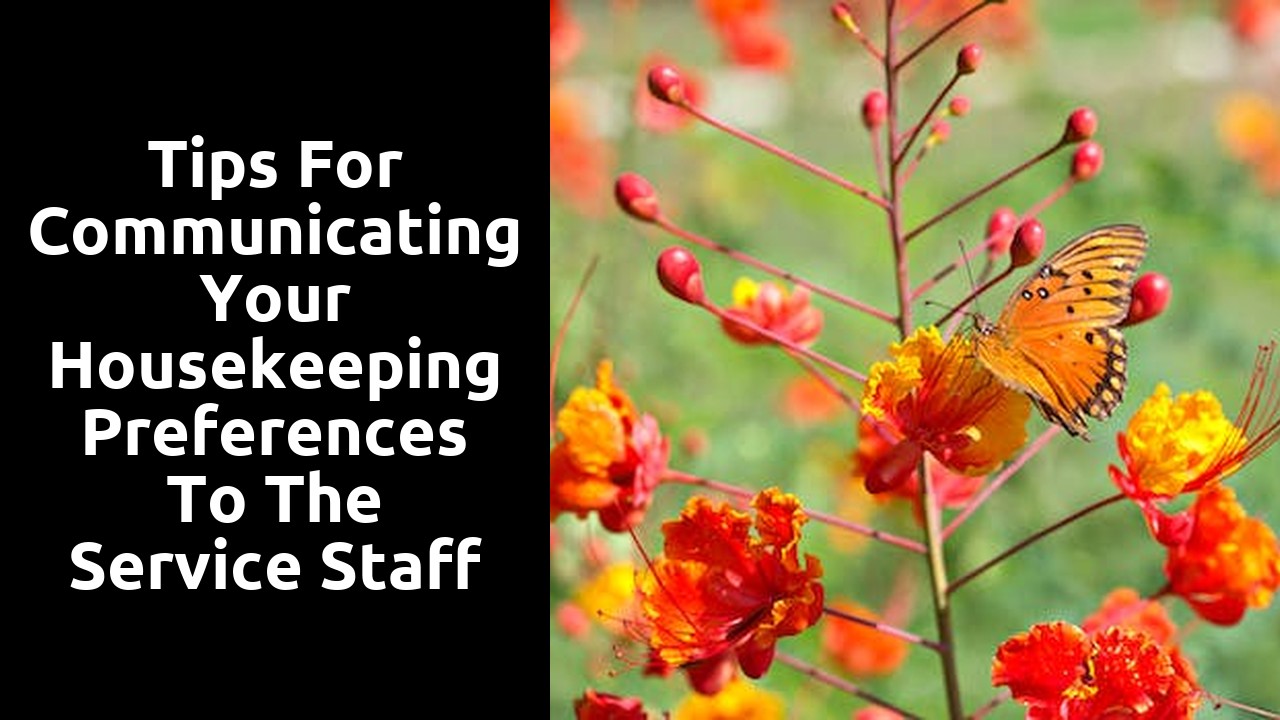 Tips for Communicating Your Housekeeping Preferences to the Service Staff