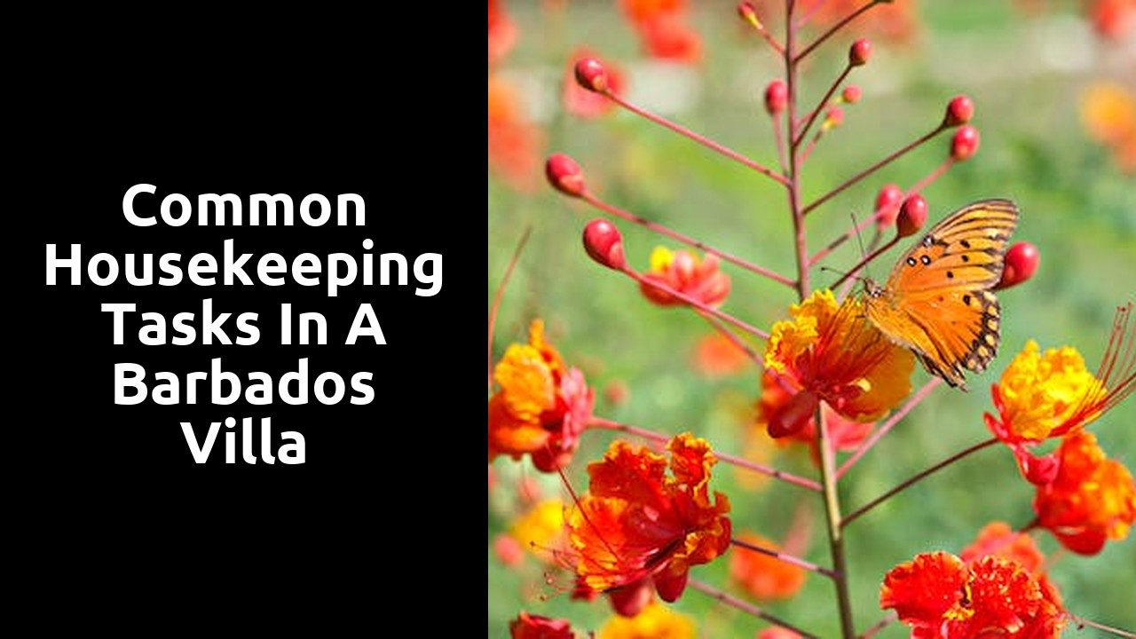 Common Housekeeping Tasks in a Barbados Villa