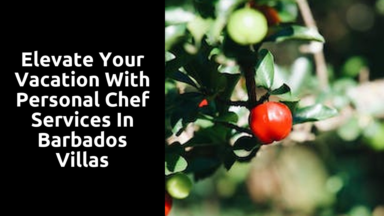 Elevate your Vacation with Personal Chef Services in Barbados Villas