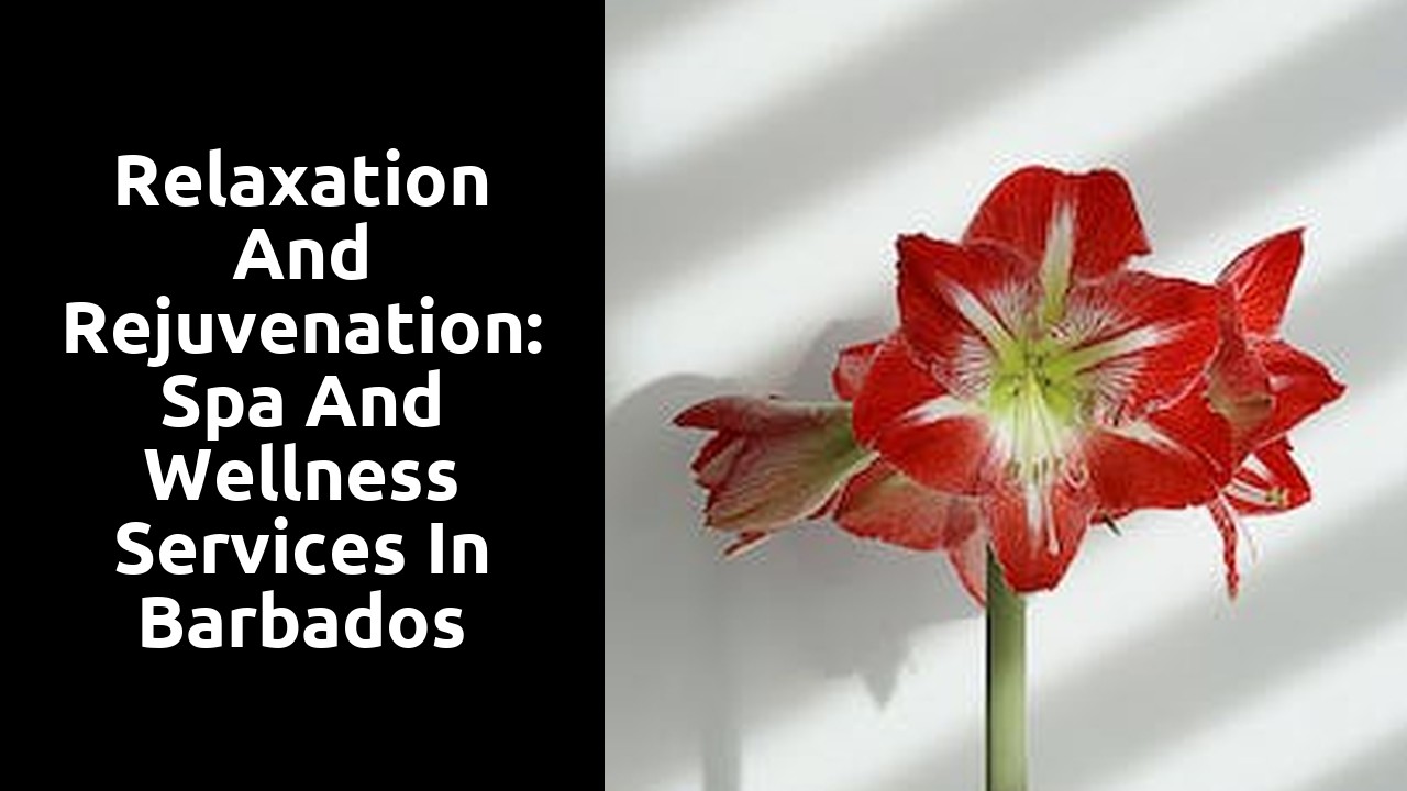 Relaxation and Rejuvenation: Spa and Wellness Services in Barbados Villas