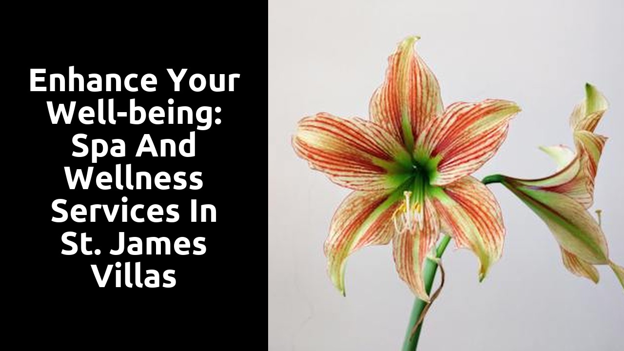 Enhance Your Well-being: Spa and Wellness Services in St. James Villas
