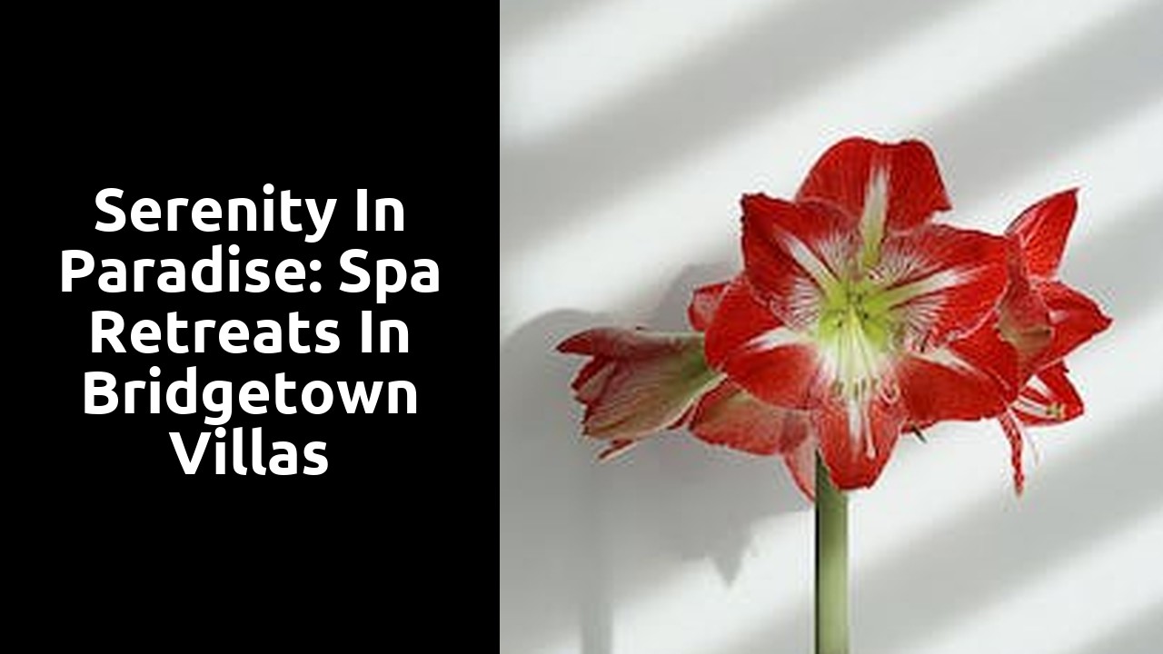 Serenity in Paradise: Spa Retreats in Bridgetown Villas