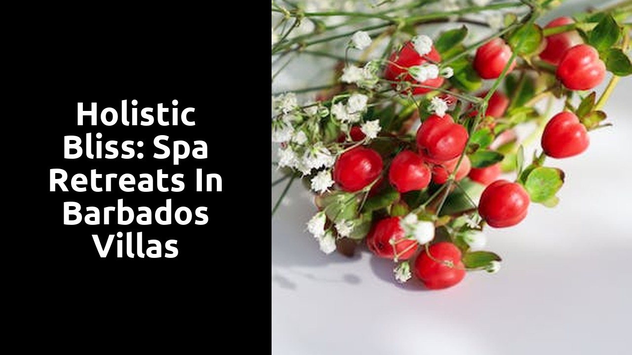 Holistic Bliss: Spa Retreats in Barbados Villas